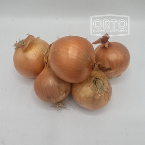 Cipolle Dorate (Confezione da 500gr)