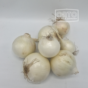 Cipolle Bianche (Confezione da 500gr)