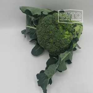 Broccolo Siciliano al Kg (circa 2/3 Broccoli)