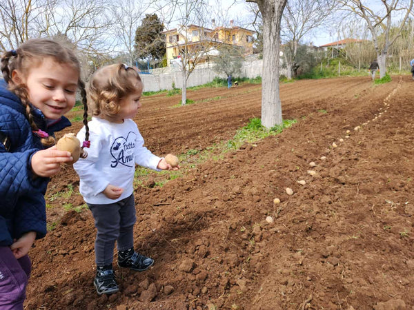 Nell'orto con Greta, coltiviamo le patate