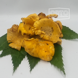 Funghi Galletti "Cantharellus cibarius" (l'etto)