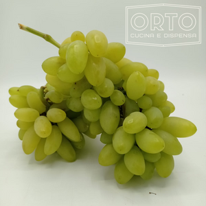 UVA PIZZUTELLO (al kg)