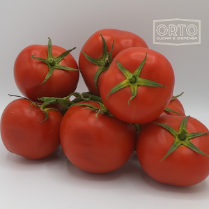 Pomodoro al Grappolo (al Kg)