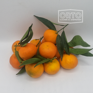 Clementine EXTRA DOLCI  al Kg (circa 10/12 Frutti)