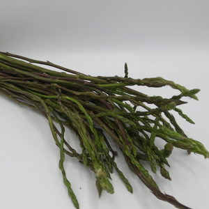 Asparagi Selvatici (l'etto)