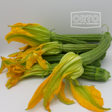 Zucchine Romanesche (al Kg)