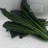 Cavolo Nero (al Kg)