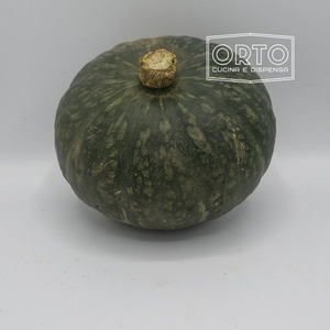 Zucca Delica (al Pezzo circa 2,5 Kg)