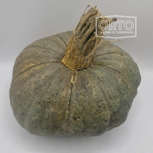 Zucca Mantovana al Pz. (circa 3Kg)