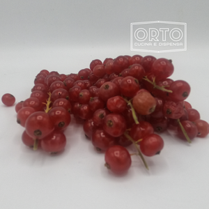 Ribes (120 Gr)